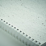 Libreta A5 tapas de semillas