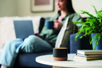 Altavoz inalámbrico 5.3