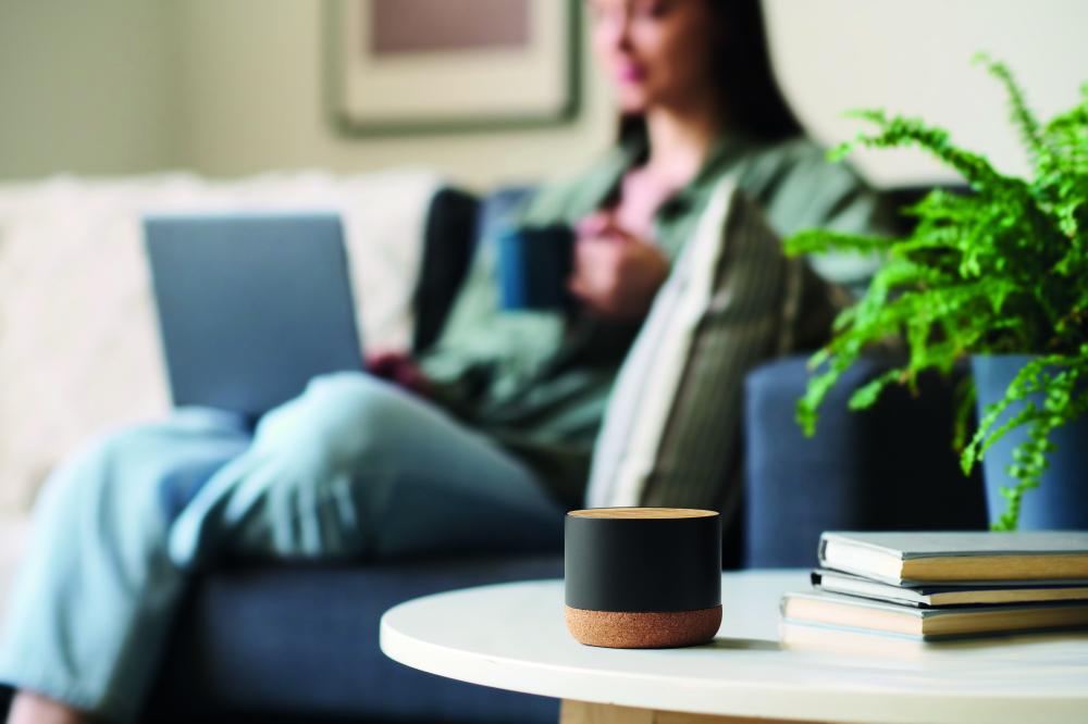 Altavoz inalámbrico 5.3