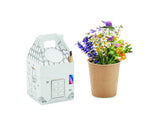 Set cultivo de semillas niños