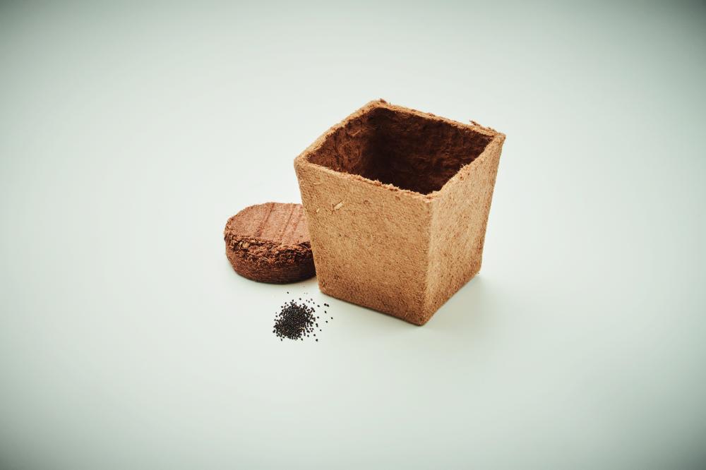 Kit cultivo semillas de menta