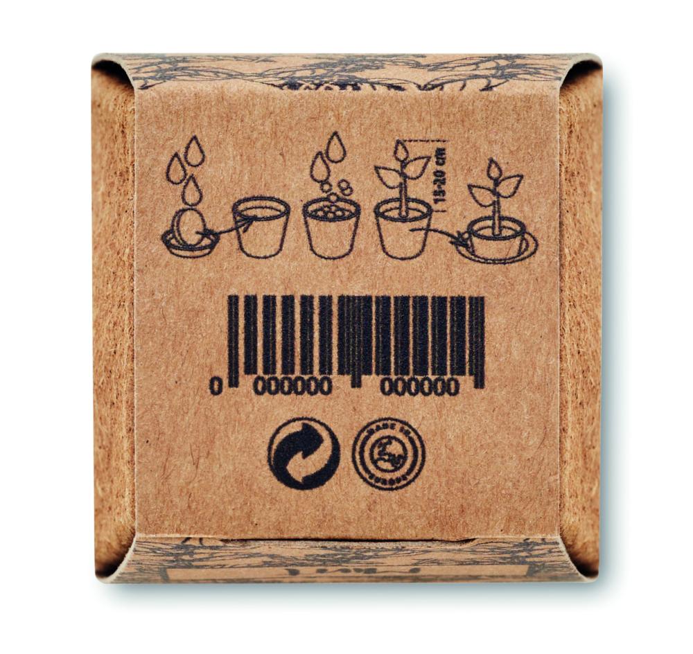 Kit cultivo semillas de menta