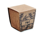 Kit cultivo semillas de menta