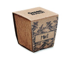 Kit cultivo semillas de menta