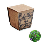 Kit cultivo semillas de menta