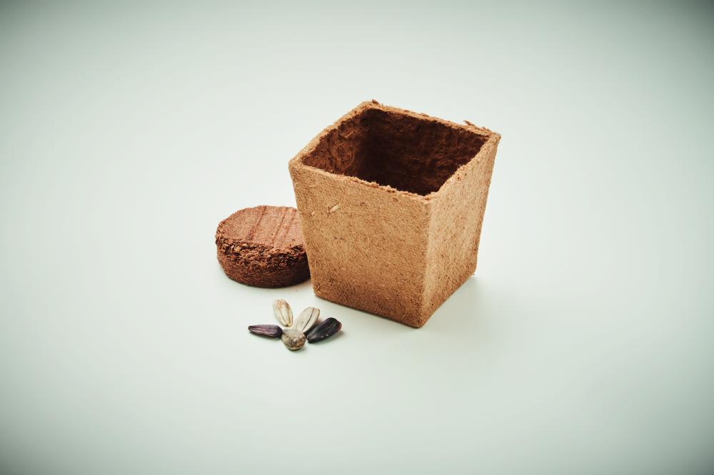 Kit de cultivo de girasoles