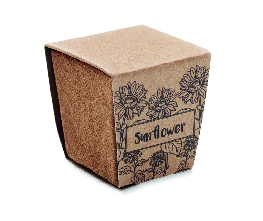 Kit de cultivo de girasoles