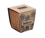 Kit de cultivo de girasoles