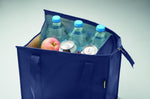 Bolsa Nevera Non Woven 25L
