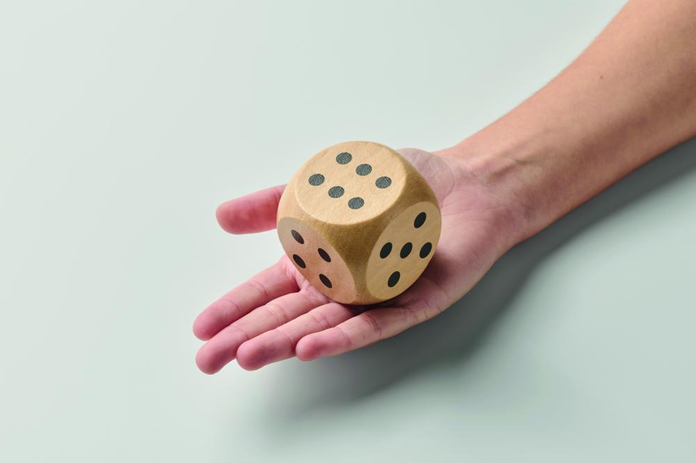 Dados madera Schima 5cm diam.