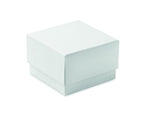 Premio cubo de cristal