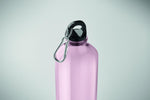 Botella mosquetón RPET 750ml