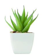 Mini planta artificial