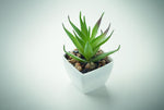 Mini planta artificial