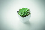 Mini planta artificial