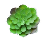 Mini planta artificial