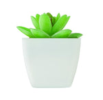 Mini planta artificial