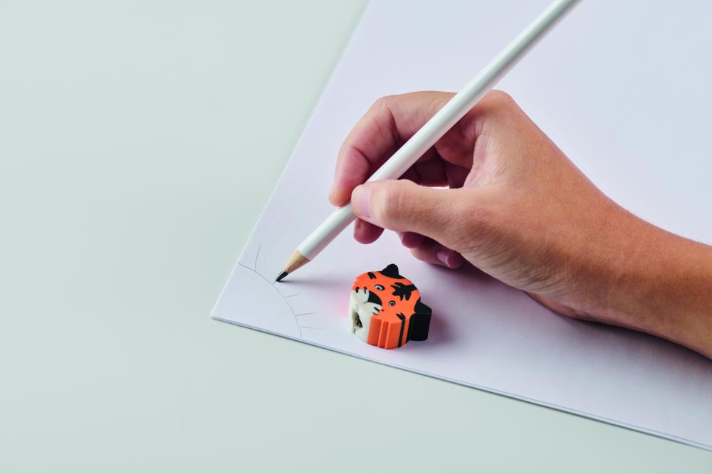 Texto alternativo de imagen