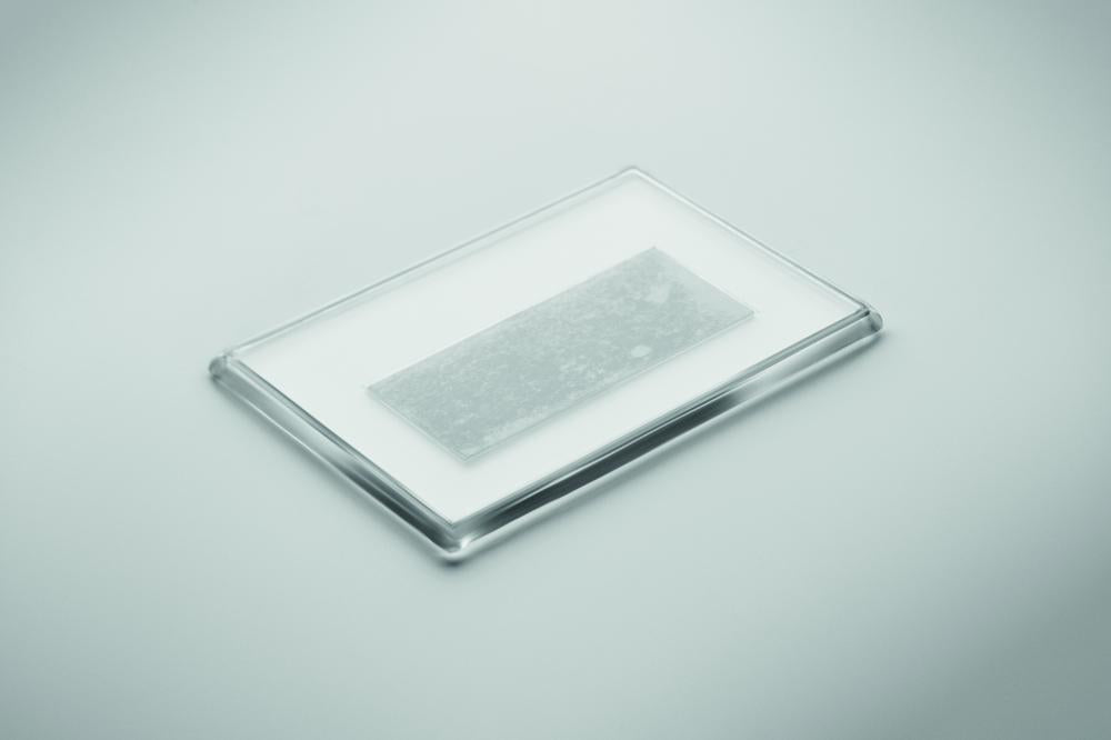 Foto imán acrílico rectangular