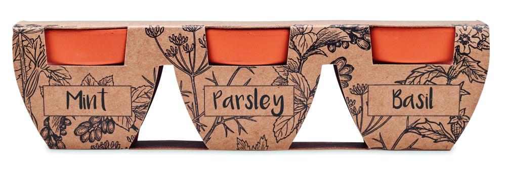 Texto alternativo de imagen