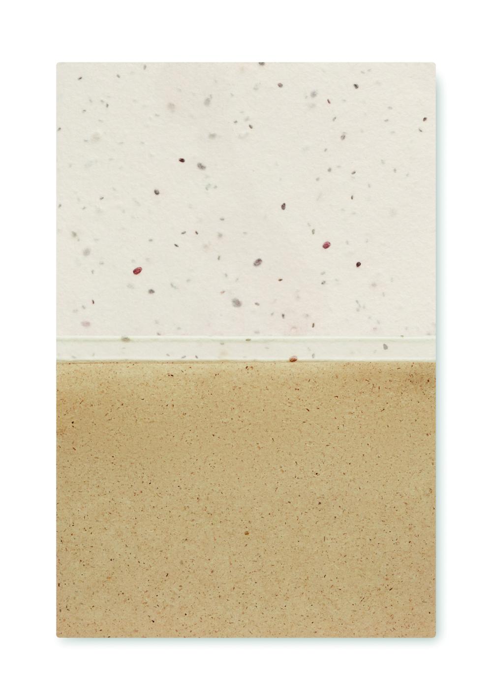 Bloc de notas semillas hierba