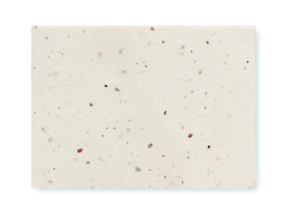 Texto alternativo de imagen