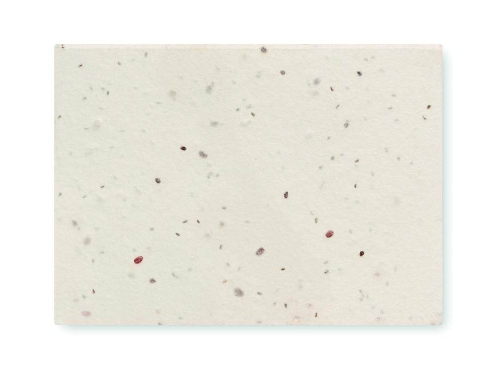 Texto alternativo de imagen