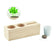 Madera