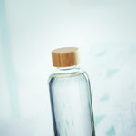 Botella Vidrio 650ml