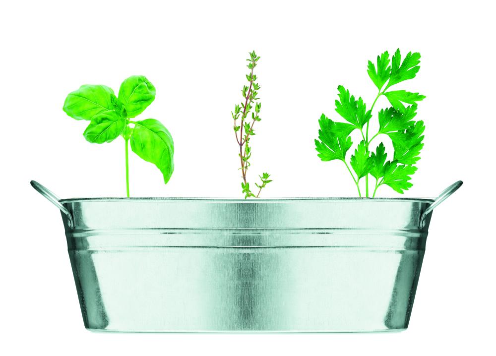 Texto alternativo de imagen