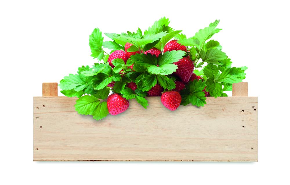 Kit de fresas en caja madera