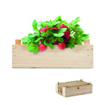 Kit de fresas en caja madera