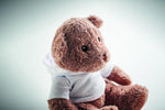 Osito de peluche grande