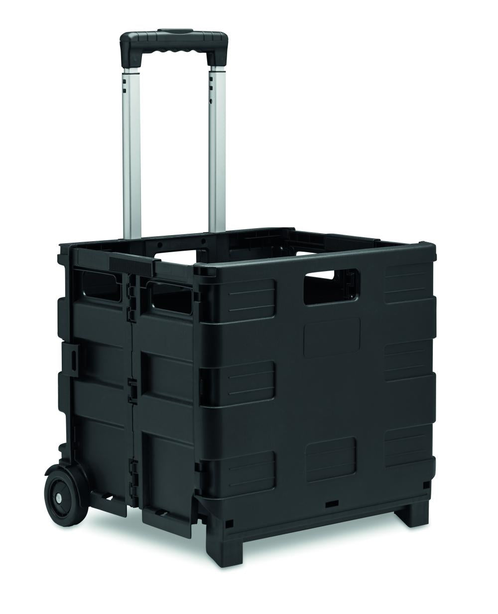 Carro de la compra plegable