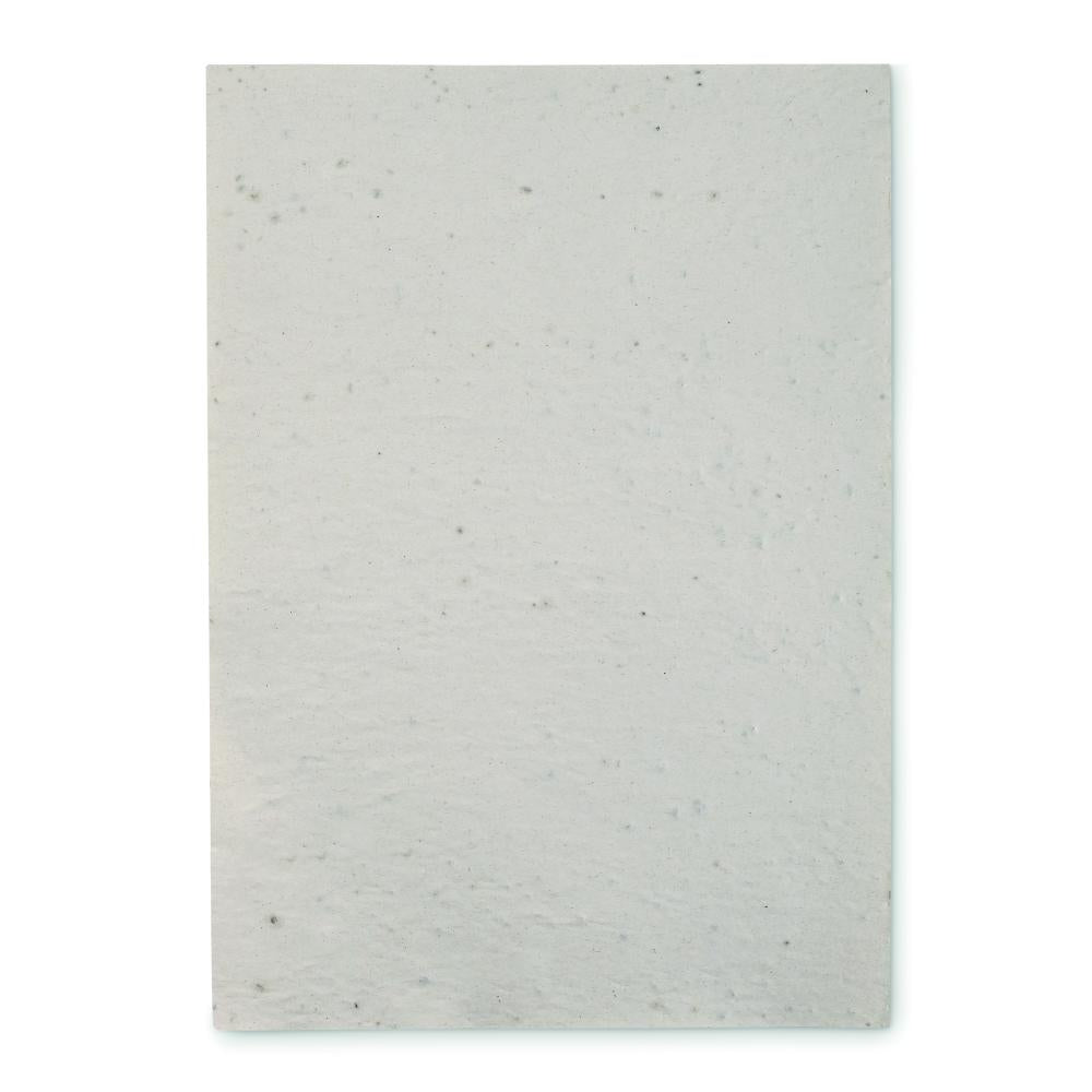 Hoja A4 de papel con semillas