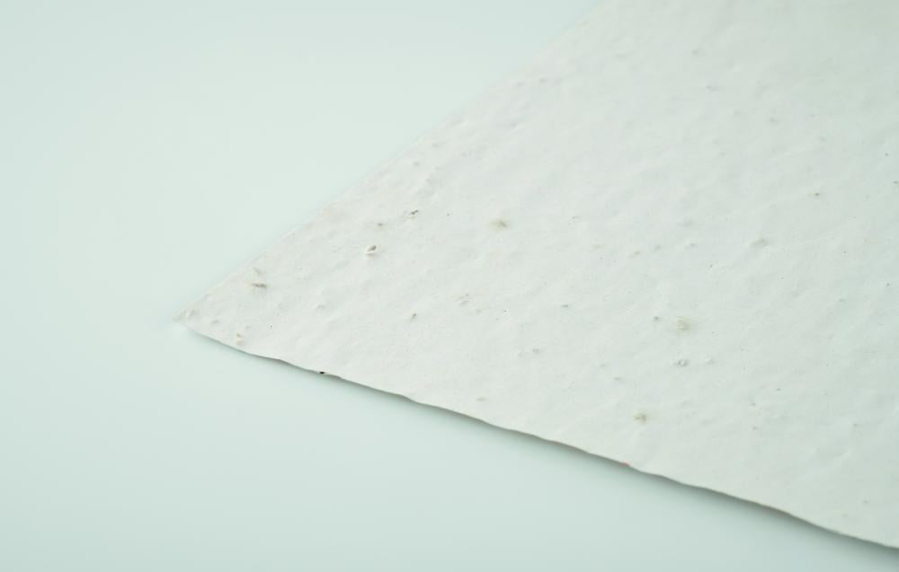 Hoja A4 de papel con semillas