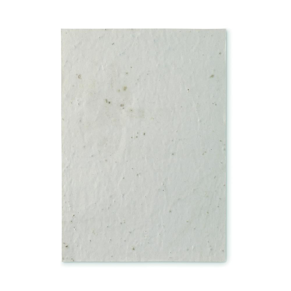 Texto alternativo de imagen