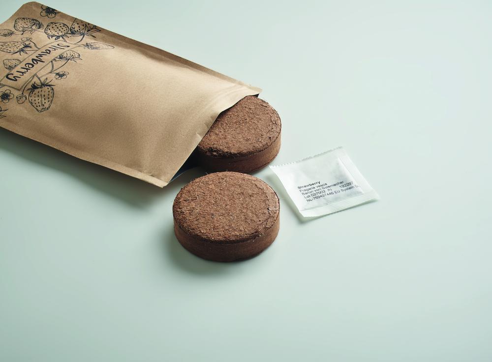 Kit de cultivo de fresas