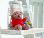 Osito de peluche con camiseta