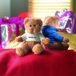 Osito de peluche con camiseta