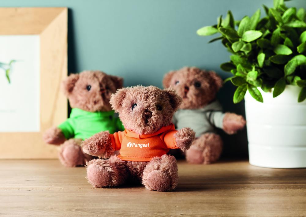 Osito de peluche con camiseta