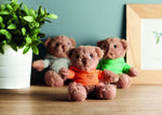 Osito de peluche con camiseta