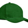 Verde oscuro