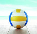 Balón de Voleibol
