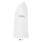 REGENT FIT NIÑO 150g