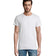 Ceniza